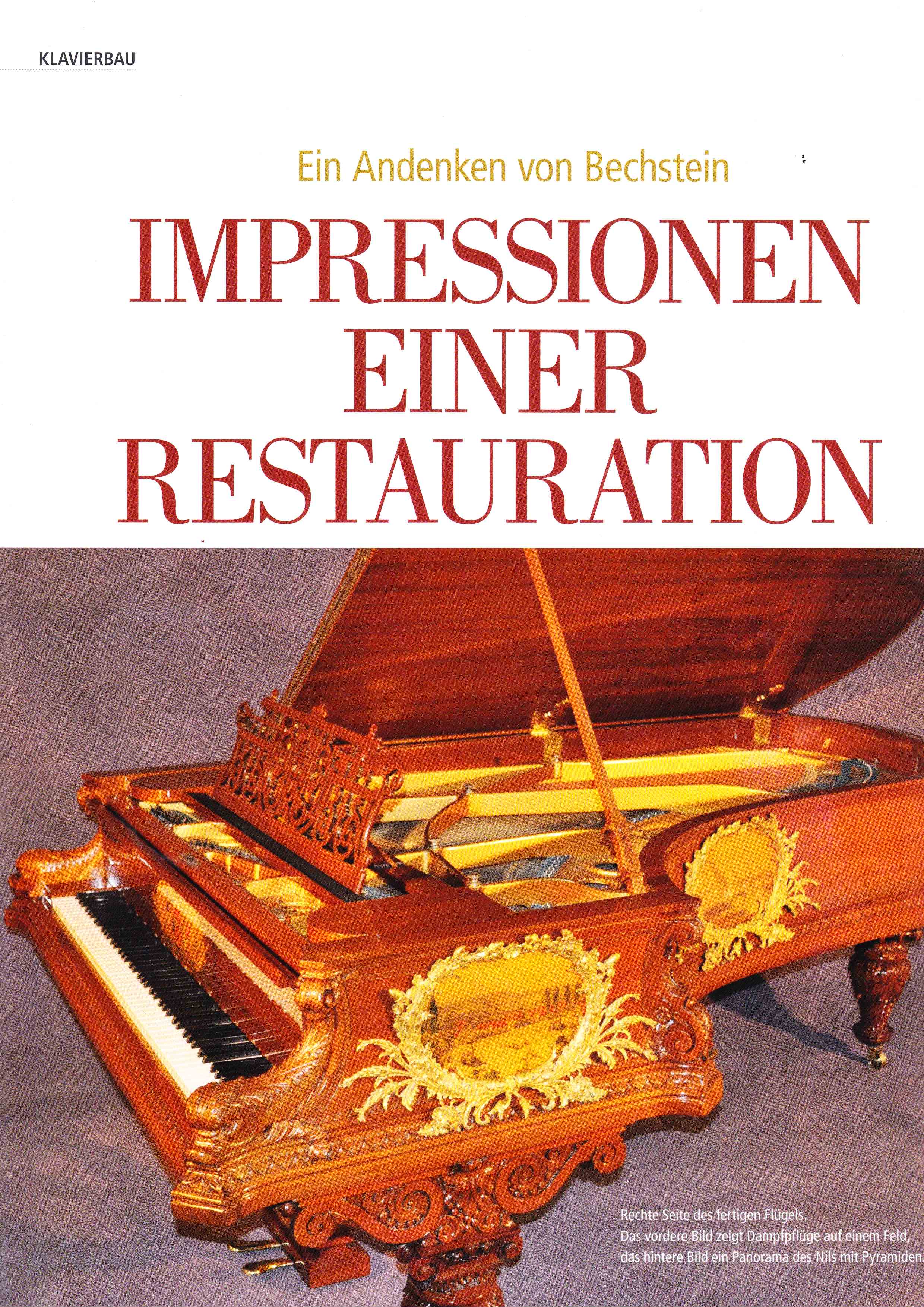 Restaurationsberichte PianoPalme Bericht Seite 5