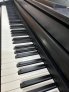 Kawai CA401_03